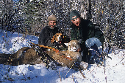 As Easy As It Gets: Bowhunting Mountain Lions with Dogs