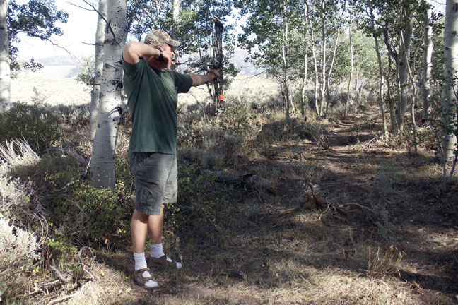 elk-hunting-tactics