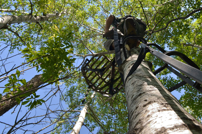 hanging-treestands-in-summer-and-accessories