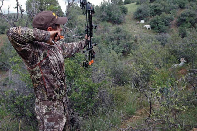archery-tips-for-bowhunting
