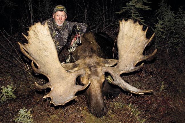 Yukon Moose Ends Long, Painful Curse