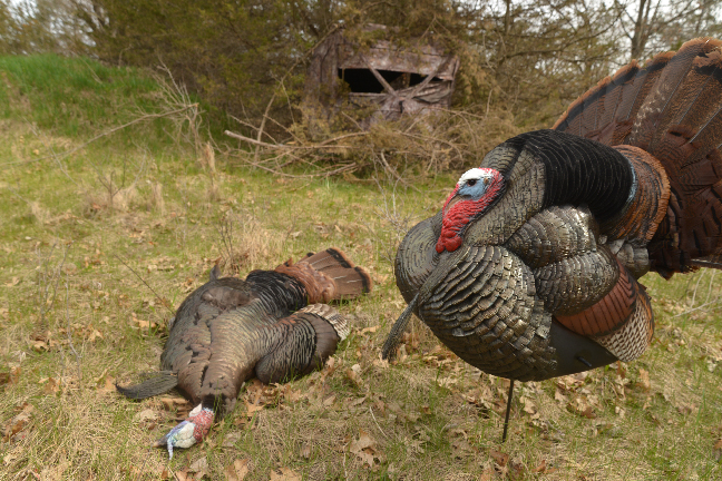 Turkey-Hunting-Blinds