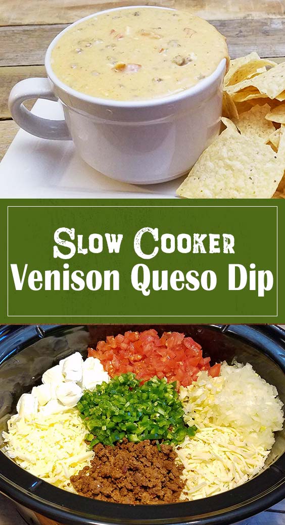 Slow Cooker Venison Queso Dip Recipe pinterest