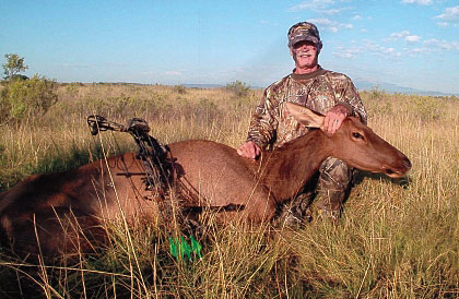 Bowhunting Colorado Elk
