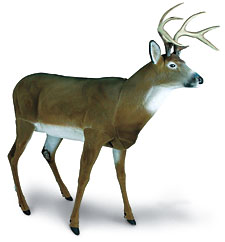 Bowhunting Deer Decoy 411