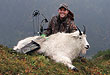 Bowhunting Rocky Mountain Goats