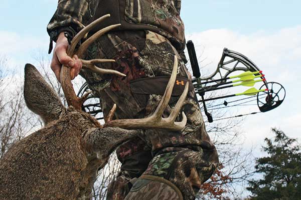 Aggressive Treestand Tactics for Whitetails