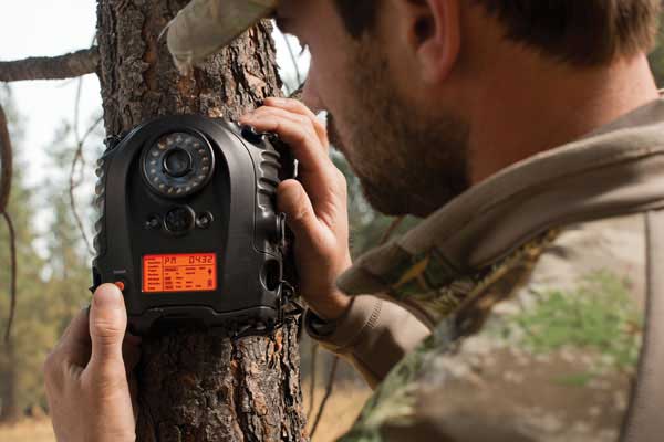 Great New Trail Cameras for 2013