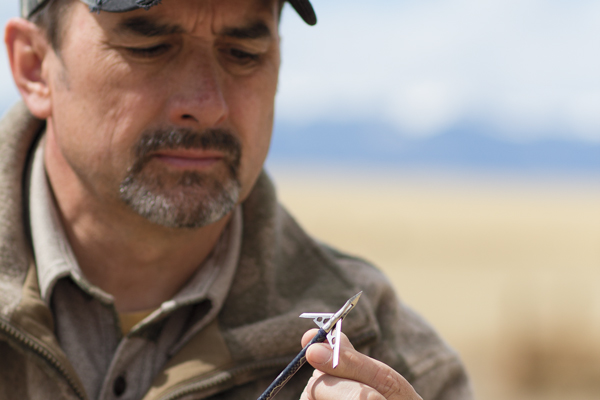 Deadly New Broadheads for 2014