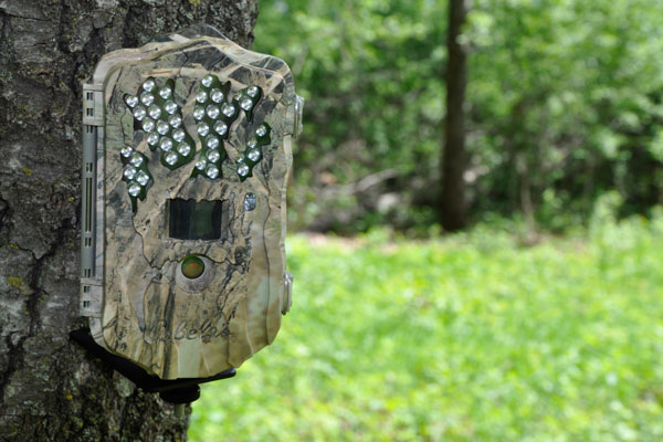 10 Best Trail Cameras and Accessories Right Now