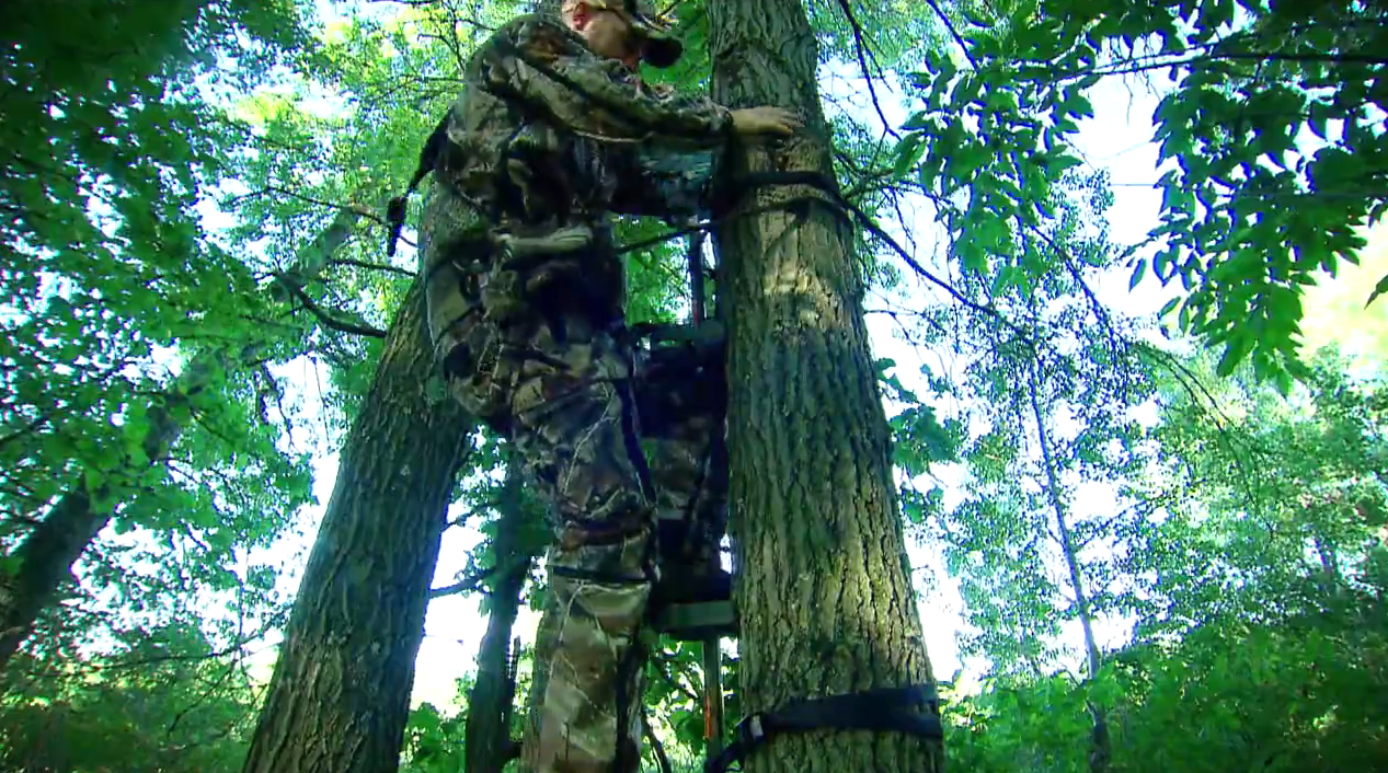 Tech Talk: Tree Stand Safety