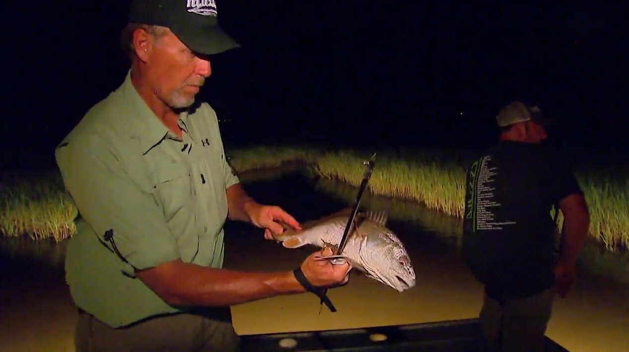 Louisiana Bowfishing: Redfish