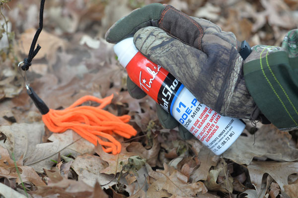 Sniff Test: The Best Whitetail Scents and Lures This Season
