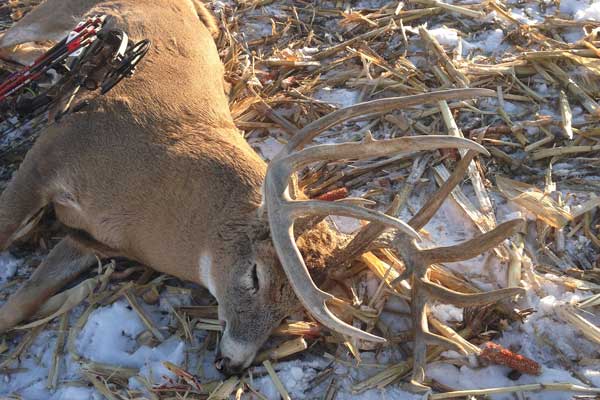 The Biggest Typical Buck of 2014