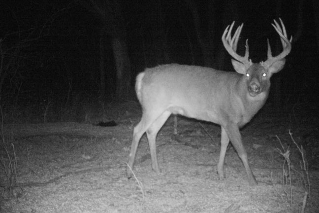 The Quest for 200 Inches of Kansas Antler