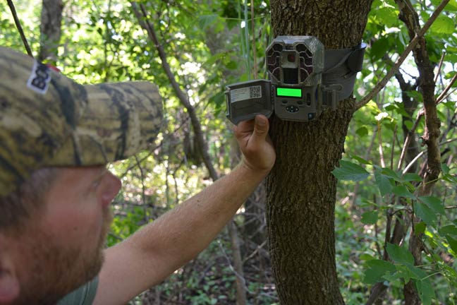 How to Get the Most out of Your Trail Cameras