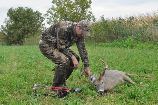 Whitetail Shape: Does Fitness Have Its Place?