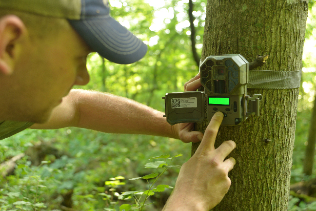 7 New Trail Cameras Just in Time for Summer Scouting