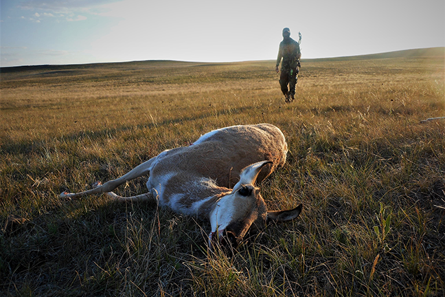 Tips for Stalking Antelope and Mule Deer